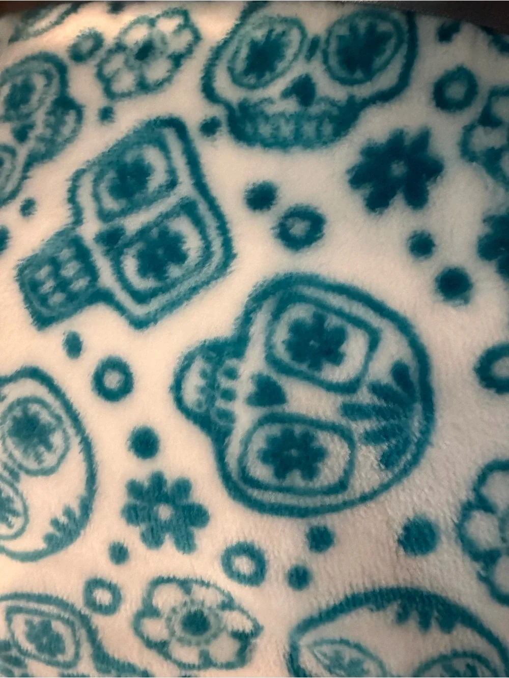 Blue Sugar Skull Decorative Pillow and Throw